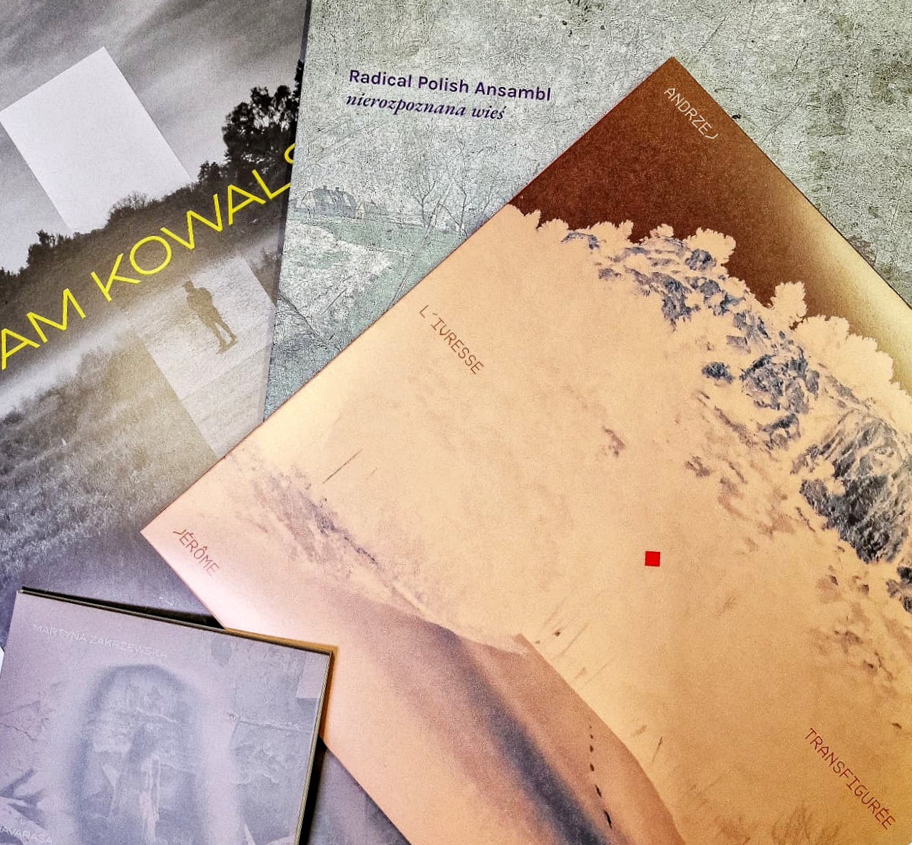 Zamówienia na&nbsp;wydawnictwa w&nbsp;naszym sklepie – przerwa świąteczna