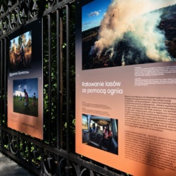 Down to Earth: Climate Change and Climate Futures. Świat w&nbsp;obliczu zmiany / wystawa w&nbsp;Galerii Saskiej