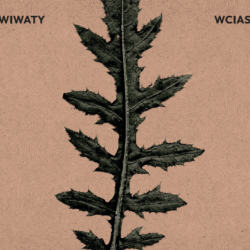 WCIAS&nbsp;: WIWATY / CD