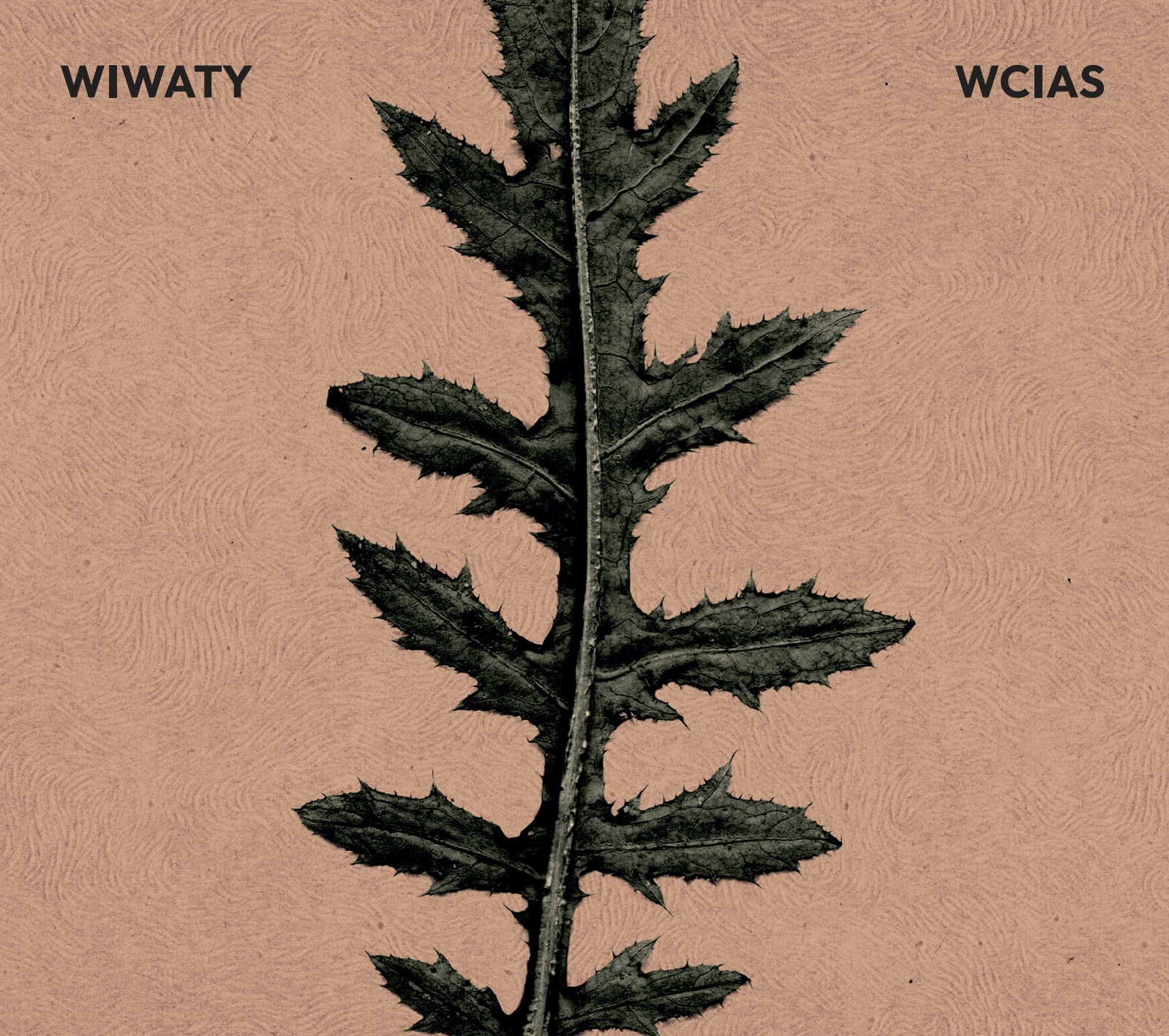 WCIAS&nbsp;: WIWATY / CD